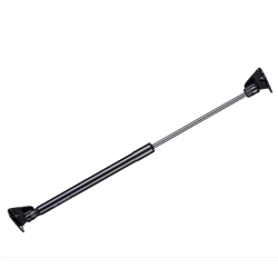 Tailgate gas springs